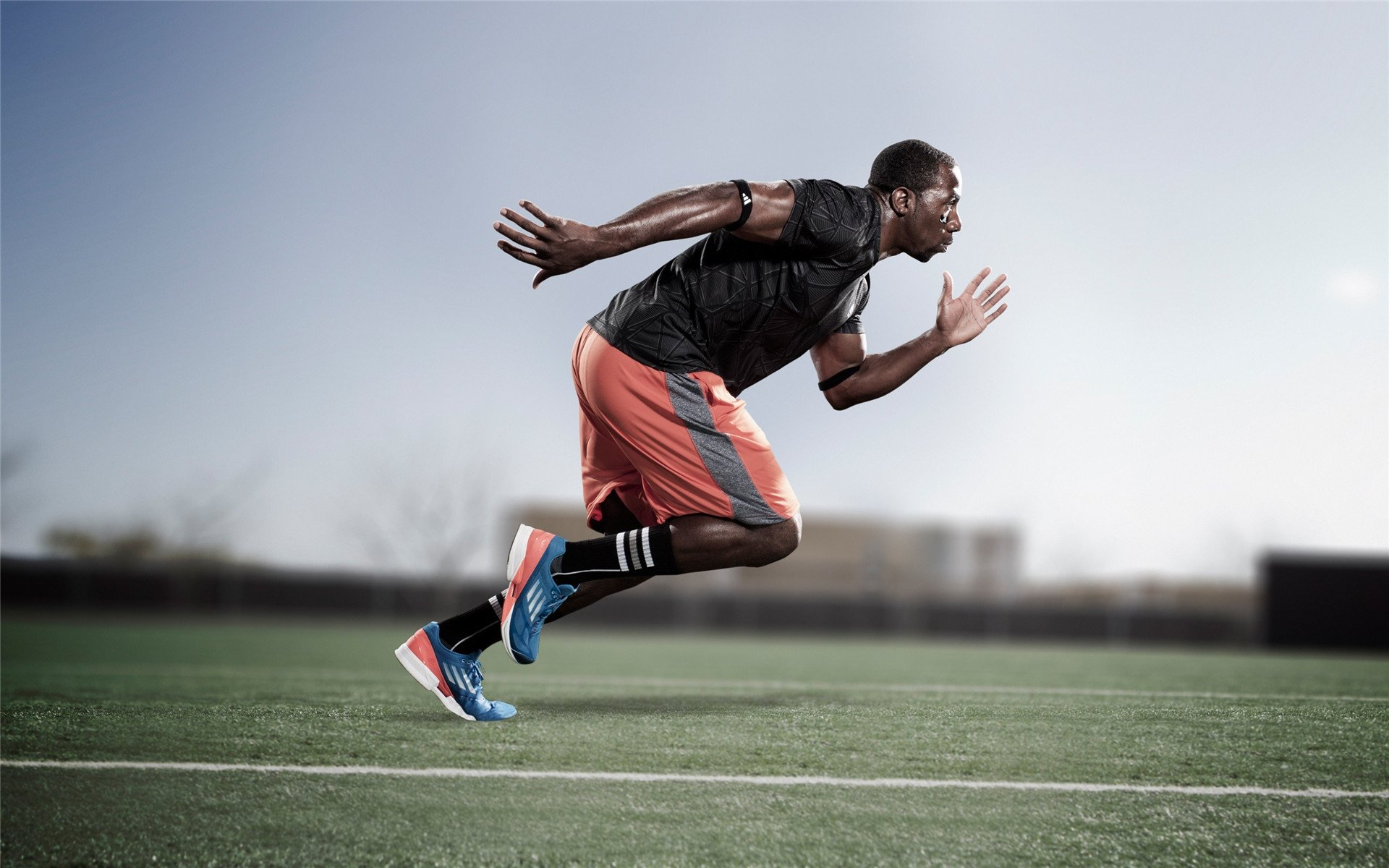 比赛战术分析节目收视率创新高，比赛战术方案