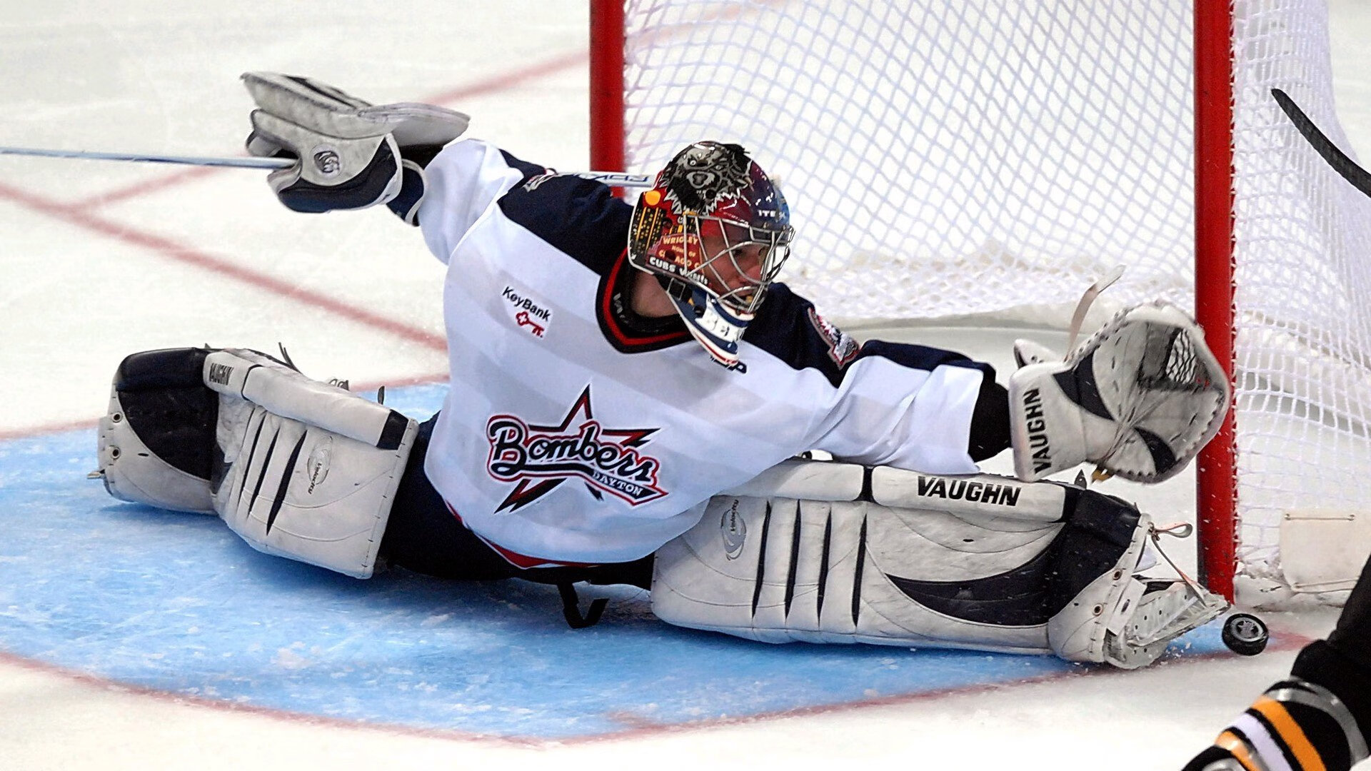 澳大利亚再度取胜,板球世界杯形势明朗,澳大利亚再度取胜,板球世界杯形势明朗